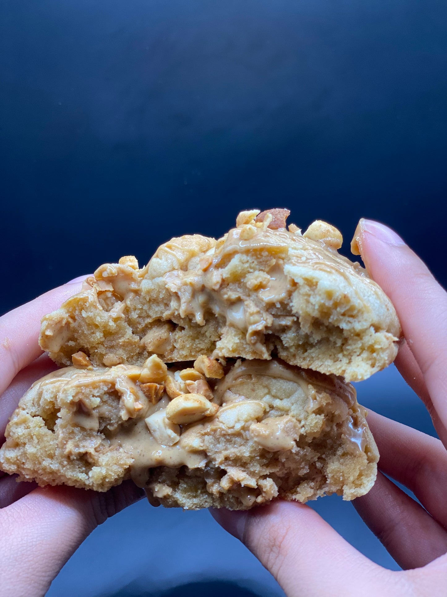 Peanut Butter Cookie